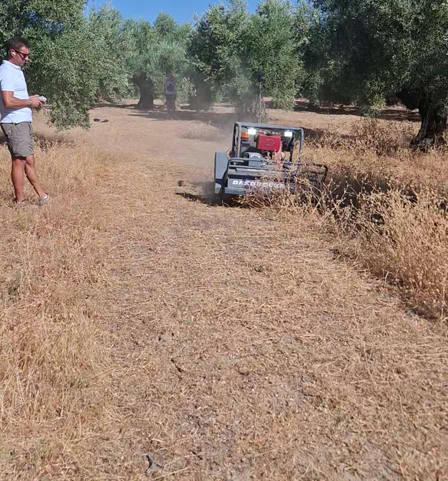 Operario con mando a distancia y máquina desbrozando en un olivar